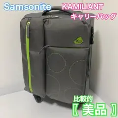 2025年最新】サムソナイト スーツケース カメレオンの人気