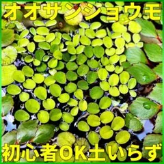 よし様 リクエスト 4点 まとめ商品