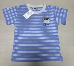 Item thumbnail for item c0816b4d-e94c-422d-ac97-f1bae58d68c1