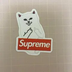 Item thumbnail for item 2327fe19-c364-47bd-a605-6b9ffd7dcad8