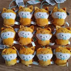 サンリオキャラクターズ どうぶつ着ぐるみマスコット キツネ編 ポチャッコ 12個