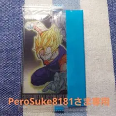PeroSuke8181さま リクエスト 2点 まとめ商品