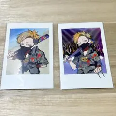 Crazy Raccoon　わいわい　ランダムチェキ風カード　２枚セット