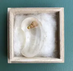 Item thumbnail for item ea6f57c1-aa96-4046-b0f0-a2da32808465