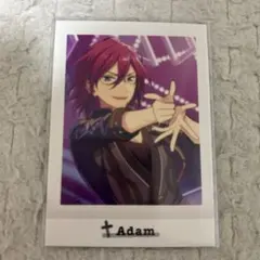 2026年最新】七種茨 ぱしゃこれの人気アイテム - メルカリ