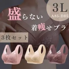 シームレスブラ ノンワイヤー ナイトブラ 着痩せ　 3L　 3枚セット 快適