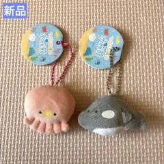 つぶらな瞳の水族館　ぷちマスコットBC キーホルダー　新品