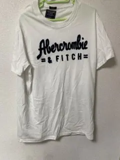 Abercrombie & Fitch Tシャツ Lサイズ