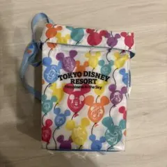東京ディズニーリゾート ミッキーバッグ