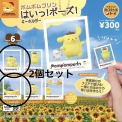 ポムポムプリン　はいっ！ポーズ！キーホルダー