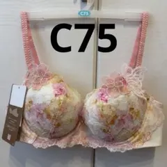 ❤️Wacoal❤️パルファージュ　42SリボンブラC75 ソングM ワコール ルジェ リボンブラ＆ショーツ＆ソングのセット C75 新品 匿名