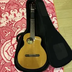 aNueNue/Bird Guitar Series aNN-MN14EF