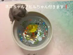 Item thumbnail for item 9b5b2e54-254d-45e3-9fbe-465f5e4ff04d