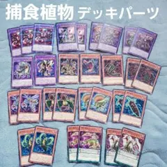 遊戯王 捕食植物 デッキパーツ