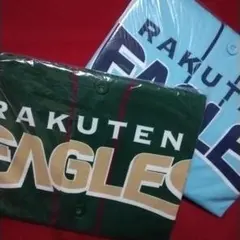 Item thumbnail for item b8b7a52e-dd0b-4711-85af-ec3d8fee3b96