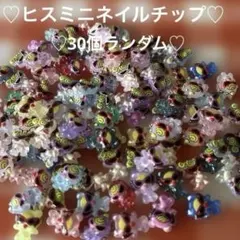 ヒスミニグッズ♡ネイルチップ♡30個ランダム