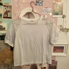 レーススリーブ ホワイト Tシャツ