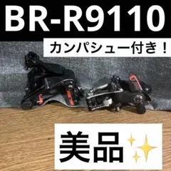 2026年最新】カーボン ブレーキシュー カンパニョーロの人気アイテム