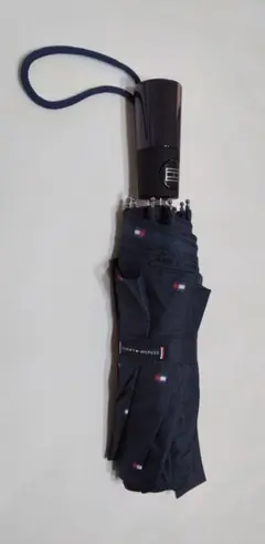 Item thumbnail for item 21a26b44-ba58-4aeb-af8a-d0dc2ce892d2