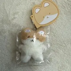 2026年最新】ベッキョン トレギの人気アイテム - メルカリ