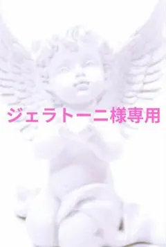 〜ジェラトーニ様専用〜