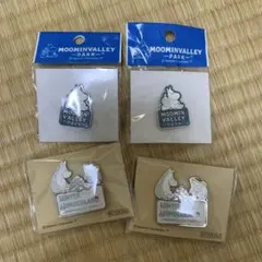 ムーミンバレーパーク　ピンバッジとおまけのキーホルダー