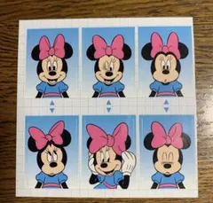 ミニーちゃん　証明写真　ディズニーストア　ミニーマウス