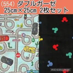 Item thumbnail for item 2dab1c45-c6a2-4f63-ad5f-89f951eff552