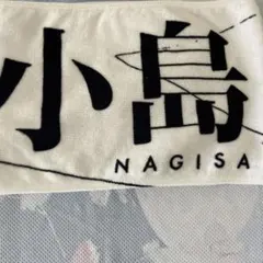 Item thumbnail for item f1373603-5c2f-47a8-8952-13f2ed169671