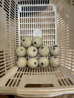 ソフトテニスボール　アカエム　ケンコー　軟式ボール　テニスボール　ヨネックス