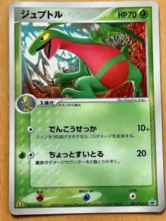 ポケモンカード ジュプトル マクドナルド プロモ 081/PCG-P PROMO ジュプトル 081/PCG-P プロモ マクドナルド マックポケモン