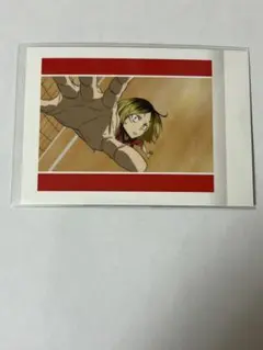 ハイキュー　ぱしゃこれ　ゴミ捨て場の決戦　vol.2 狐爪研磨 Amazon | ハイキュー！！ ゴミ捨て場の決戦 ぱしゃこれ Vol.2 10