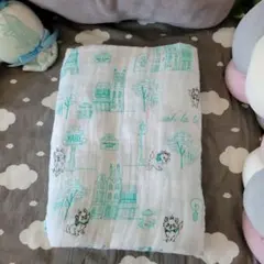 エイデンアンドアネイ　スワドル　おくるみ　ディズニー　マリーちゃん