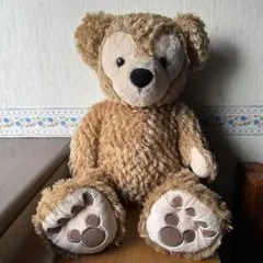 東京ディズニーリゾート ダッフィー