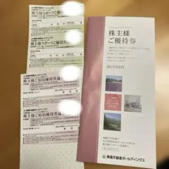 東急不動産株主優待券☆リゾートホテル、東急ステイ2枚☆ゴルフ場、スキー場2枚