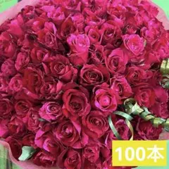 産地直送❗️＊赤バラの花束＊30㎝ 100本　ラッピング込　プロポーズ・誕生日・祝 産地直送❗️＊赤バラの花束＊30㎝ 100本 ラッピング込 プロポーズ