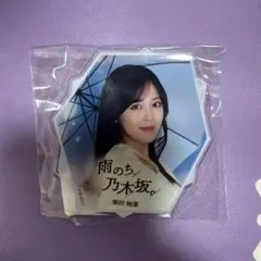 乃木坂46 のぎBOX 雨のち乃木坂 柴田柚菜 A賞 ダイカットバッジ 美品