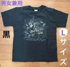 Tシャツ　L (メンズM)　黒 小池徹平　ソロコンサート 2009　WaTシャツ