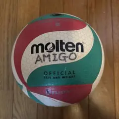 4号 バレーボール