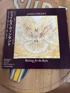 JAMES VINCENT Waiting for the Rain (AOR)