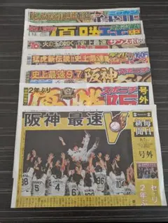 阪神タイガース優勝　スポーツ新聞 ５紙セット➕️号外２紙