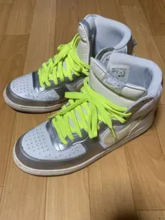 NIKE TERMINATOR HIGHBASIC 廃盤色 シルバー×ホワイト