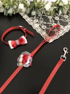 ペット用リード・首輪