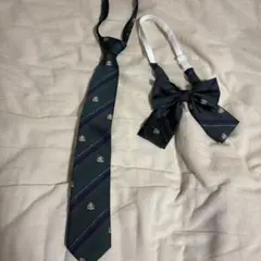 Item thumbnail for item 53c76a2a-c5ab-4408-a620-75ee7690749b