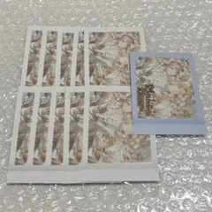 プロセカ ぱしゃこれ vol.7 7B 望月穂波 箔押し ノーマル まとめ売り