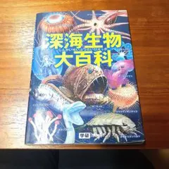 Item thumbnail for item a37e341a-15a4-46b8-bb04-9be78d62c0b2