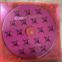 Tropical Flamingo CD ELLE TERESA