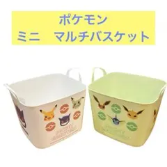 19☆ ポケモン　ミニマルチバスケット　イーブイ　ピカチュウ　新品！