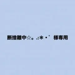 断捨離中☆。.:＊・゜様専用