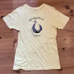 パタロハ ハレイワ パタゴニア Tシャツ 水色 生産終了 希少価値 M 男女兼用 patagonia 米国製 パタゴニア パタロハ ハレイワ限定 Tシャツ